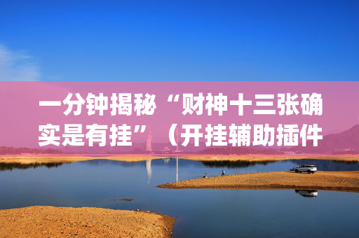 一分钟揭秘“财神十三张确实是有挂”（开挂辅助插件)