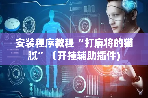 安装程序教程“打麻将的猫腻”（开挂辅助插件)