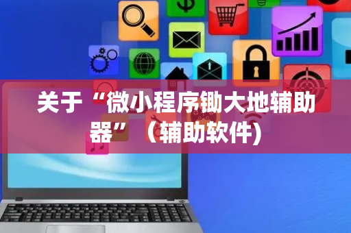 关于“微小程序锄大地辅助器”（辅助软件)