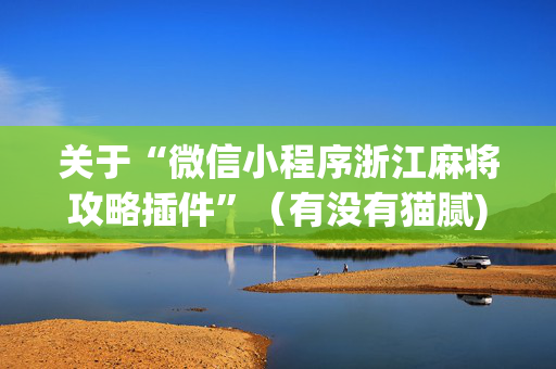 关于“微信小程序浙江麻将攻略插件”（有没有猫腻)