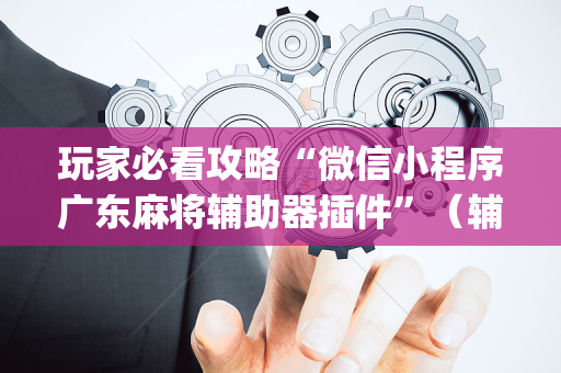 玩家必看攻略“微信小程序广东麻将辅助器插件”（辅助软件)
