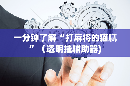一分钟了解“打麻将的猫腻”（透明挂辅助器)