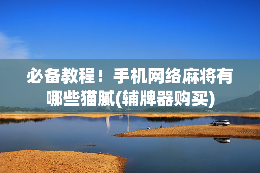必备教程！手机网络麻将有哪些猫腻(辅牌器购买)