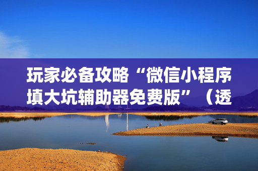 玩家必备攻略“微信小程序填大坑辅助器免费版”（透明挂辅助器)