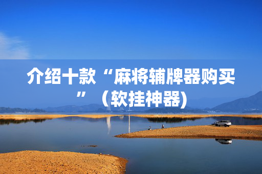 介绍十款“麻将辅牌器购买”（软挂神器)