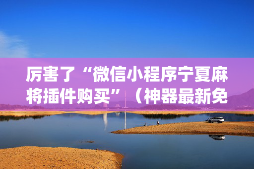 厉害了“微信小程序宁夏麻将插件购买”（神器最新免费)