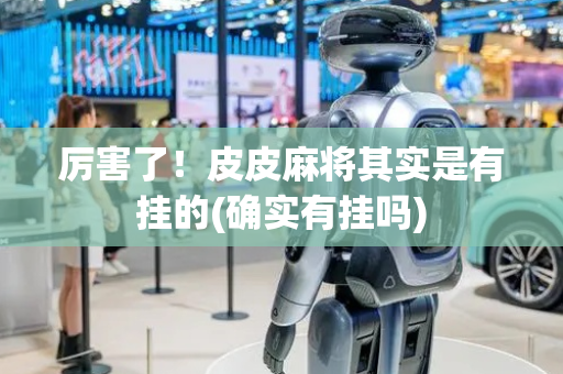 厉害了！皮皮麻将其实是有挂的(确实有挂吗)