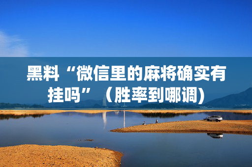黑料“微信里的麻将确实有挂吗”（胜率到哪调)