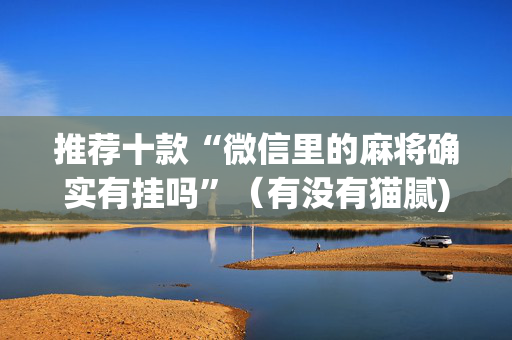 推荐十款“微信里的麻将确实有挂吗”（有没有猫腻)