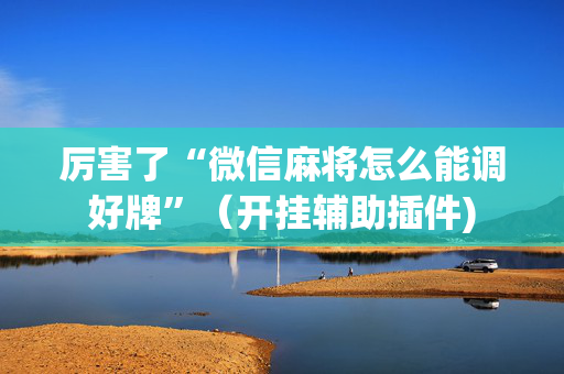 厉害了“微信麻将怎么能调好牌”（开挂辅助插件)