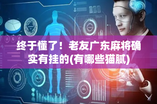 终于懂了！老友广东麻将确实有挂的(有哪些猫腻)