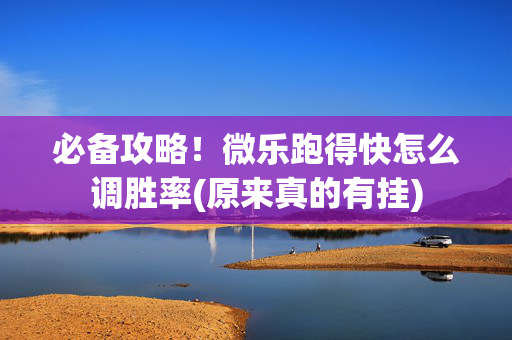 必备攻略！微乐跑得快怎么调胜率(原来真的有挂)