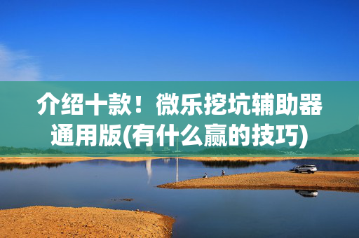 介绍十款！微乐挖坑辅助器通用版(有什么赢的技巧)