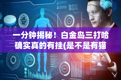 一分钟揭秘！白金岛三打哈确实真的有挂(是不是有猫腻)