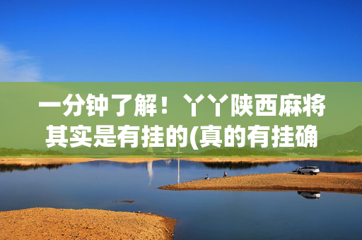一分钟了解！丫丫陕西麻将其实是有挂的(真的有挂确实有挂)