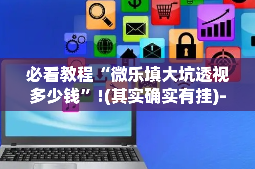 必看教程“微乐填大坑透视多少钱”!(其实确实有挂)-抖音