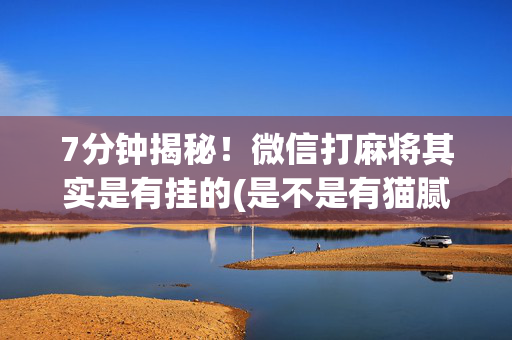 7分钟揭秘！微信打麻将其实是有挂的(是不是有猫腻)
