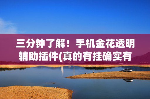 三分钟了解！手机金花透明辅助插件(真的有挂确实有挂)