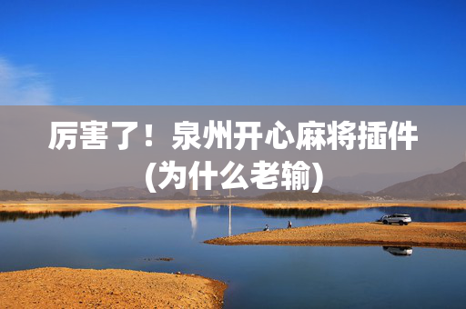 厉害了！泉州开心麻将插件(为什么老输)