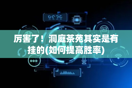 厉害了！洞庭茶苑其实是有挂的(如何提高胜率)