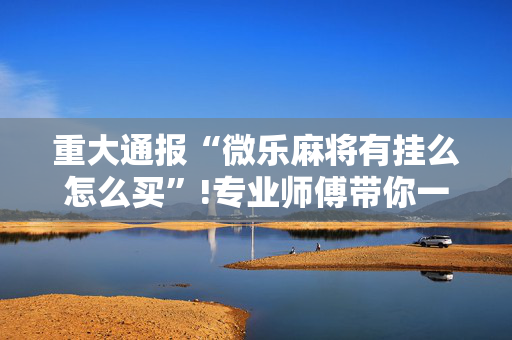 重大通报“微乐麻将有挂么怎么买”!专业师傅带你一起了解（详细教程）-抖音