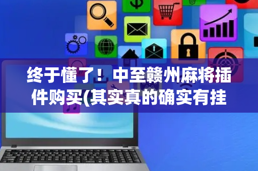 终于懂了！中至赣州麻将插件购买(其实真的确实有挂)