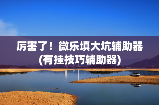 厉害了！微乐填大坑辅助器(有挂技巧辅助器)