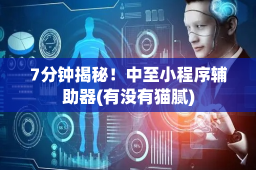 7分钟揭秘！中至小程序辅助器(有没有猫腻)