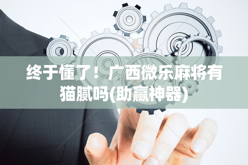终于懂了！广西微乐麻将有猫腻吗(助赢神器)