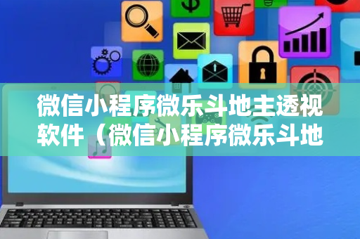 微信小程序微乐斗地主透视软件（微信小程序微乐斗地主透视软件免费下载）