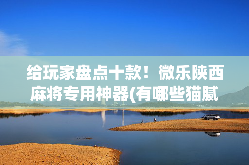 给玩家盘点十款！微乐陕西麻将专用神器(有哪些猫腻)