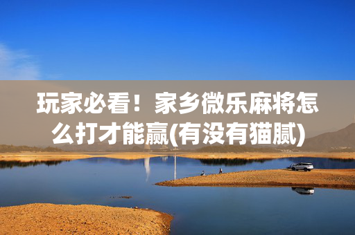 玩家必看！家乡微乐麻将怎么打才能赢(有没有猫腻)