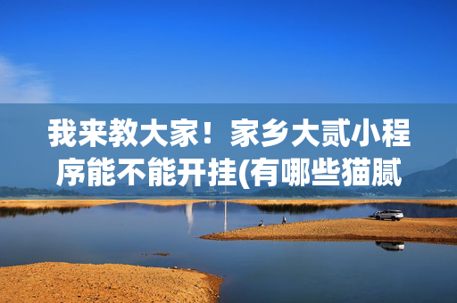 我来教大家！家乡大贰小程序能不能开挂(有哪些猫腻)
