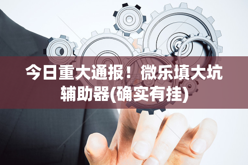 今日重大通报！微乐填大坑辅助器(确实有挂)