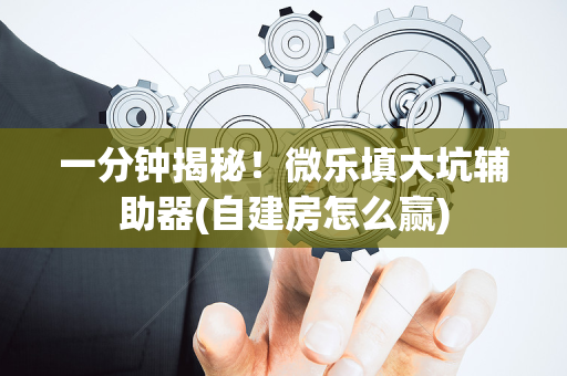 一分钟揭秘！微乐填大坑辅助器(自建房怎么赢)