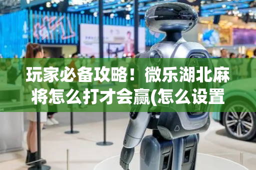 玩家必备攻略！微乐湖北麻将怎么打才会赢(怎么设置胡牌)