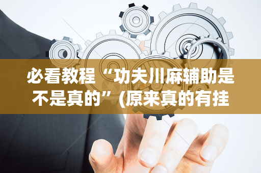 必看教程“功夫川麻辅助是不是真的”(原来真的有挂)-抖音