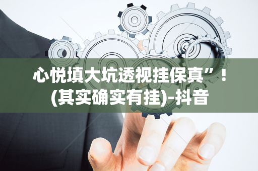 心悦填大坑透视挂保真”!(其实确实有挂)-抖音