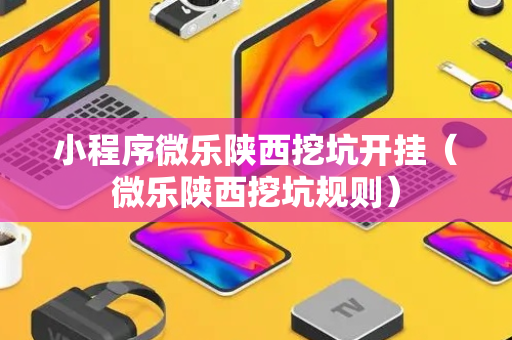 小程序微乐陕西挖坑开挂（微乐陕西挖坑规则）