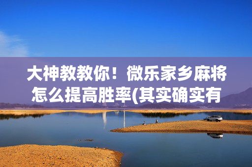 大神教教你！微乐家乡麻将怎么提高胜率(其实确实有挂)