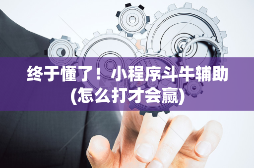 终于懂了！小程序斗牛辅助(怎么打才会赢)