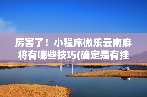 厉害了！小程序微乐云南麻将有哪些技巧(确定是有挂)