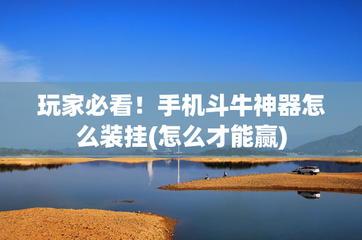 玩家必看！手机斗牛神器怎么装挂(怎么才能赢)