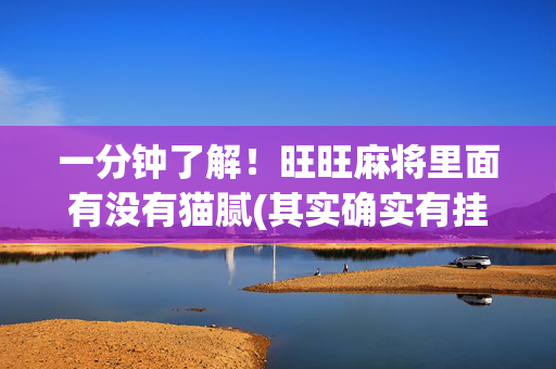 一分钟了解！旺旺麻将里面有没有猫腻(其实确实有挂)