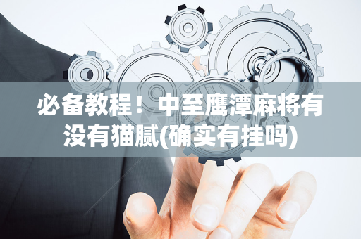 必备教程！中至鹰潭麻将有没有猫腻(确实有挂吗)