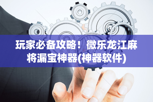 玩家必备攻略！微乐龙江麻将漏宝神器(神器软件)