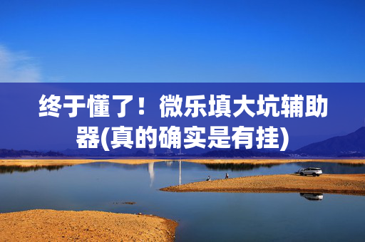 终于懂了！微乐填大坑辅助器(真的确实是有挂)
