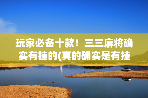 玩家必备十款！三三麻将确实有挂的(真的确实是有挂)