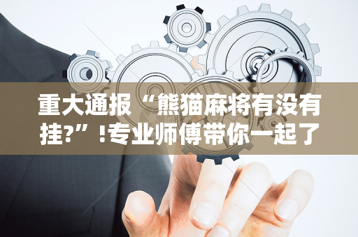 重大通报“熊猫麻将有没有挂?”!专业师傅带你一起了解（详细教程）-抖音