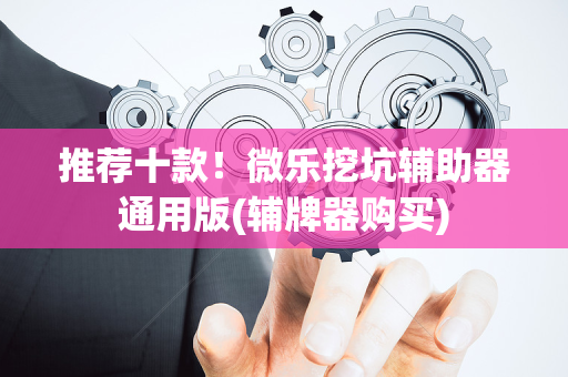 推荐十款！微乐挖坑辅助器通用版(辅牌器购买)
